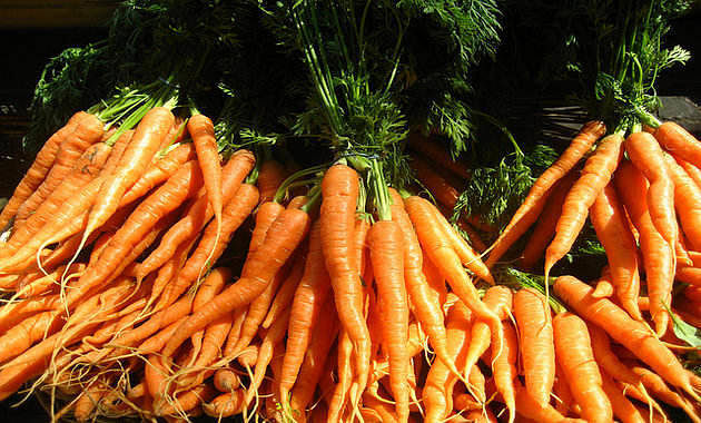 Benefits of carrot juice for clearance cancer