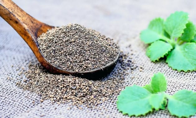 अजवाइन के फायदे और नुकसान: Ajwain Benefits, Side Effects And Uses In Hindi - Tata 1mg Capsules