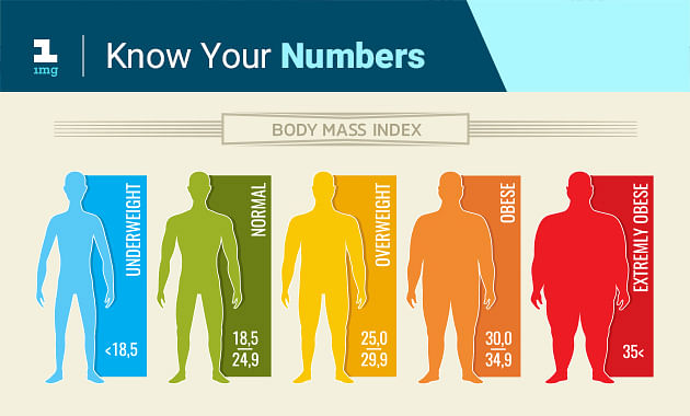 Obesity scale: effective body weight testing for home use
