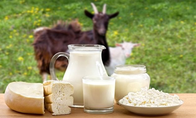 https://articles-1mg.gumlet.io/articles/wp-content/uploads/2022/06/Goat-Milk-Benefits.jpg?compress=true&quality=80&w=640&dpr=2.6
