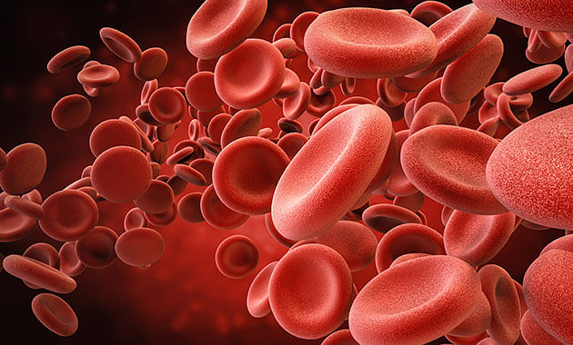 Things Indian women need to know more about anemia
