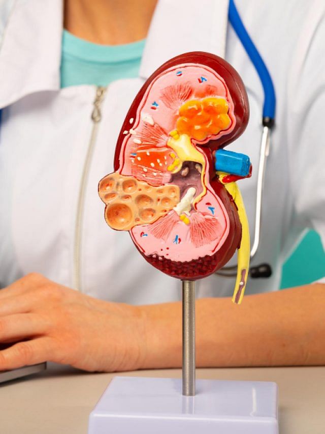 5 benefits of magnesium supplements for kidney health 5 benefits of magnesium supplements for kidney health