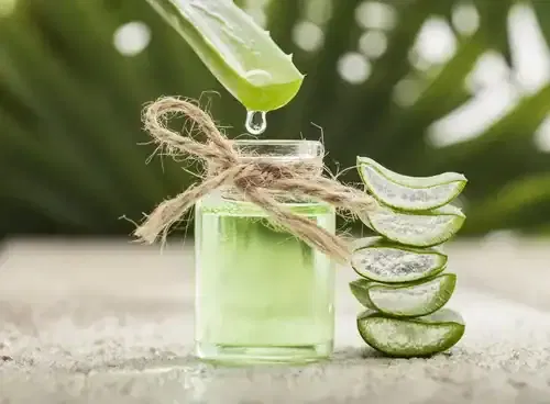 7 Ways To Use Rosemary Oil And Aloe Vera For Hair Growth - Tata 1mg Capsules